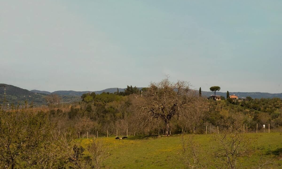 Photo of Outdoor in Suvereto