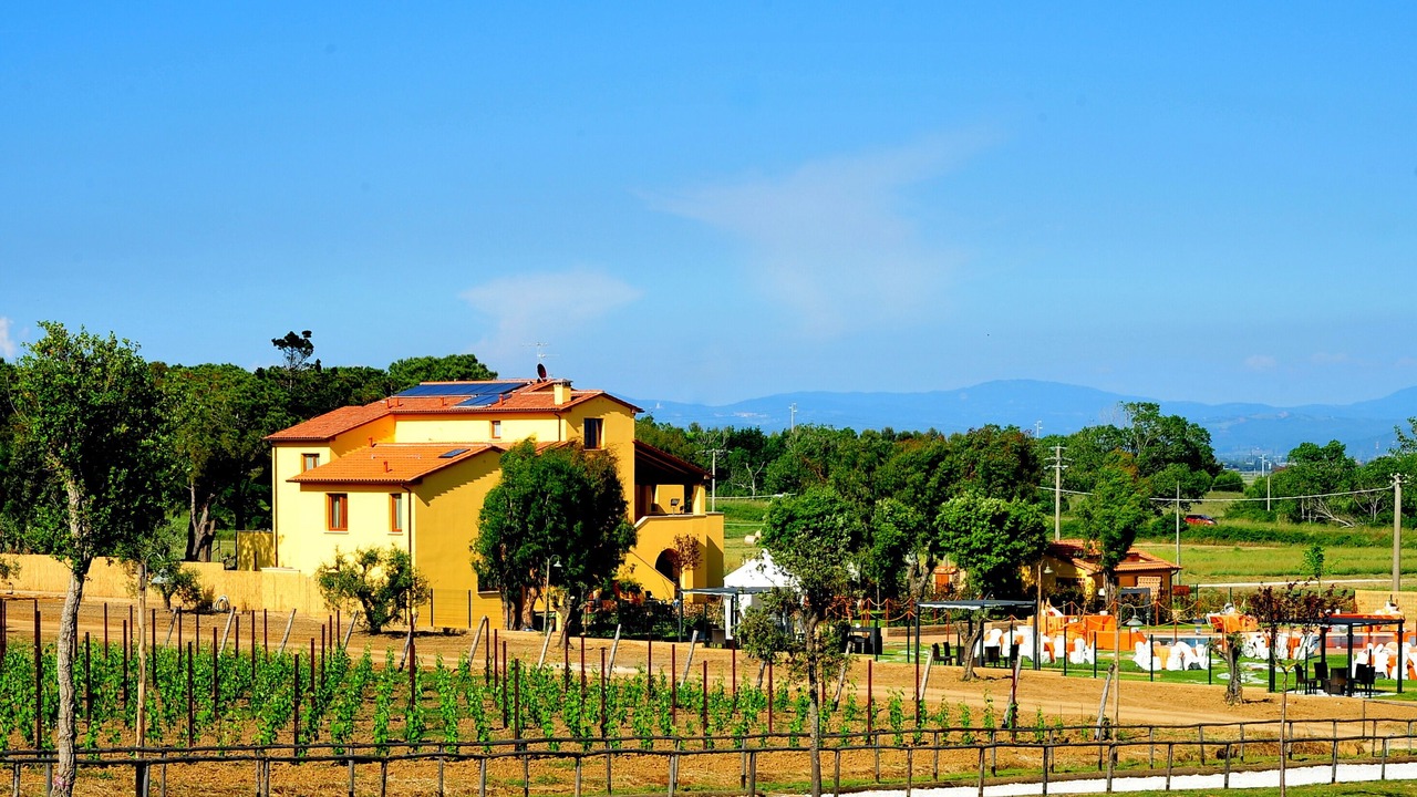 Photo of Outdoor in Piombino