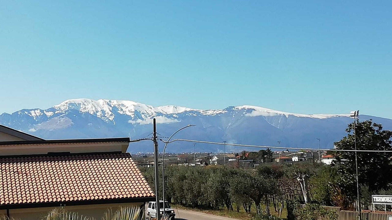 Photo of Others in Arielli