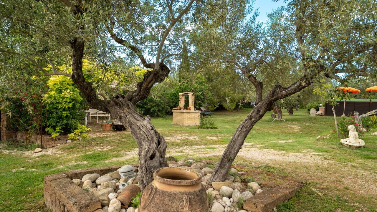 Photo of Outdoor in Collecorvino