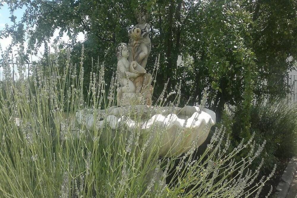 Photo of Outdoor in Lidarno