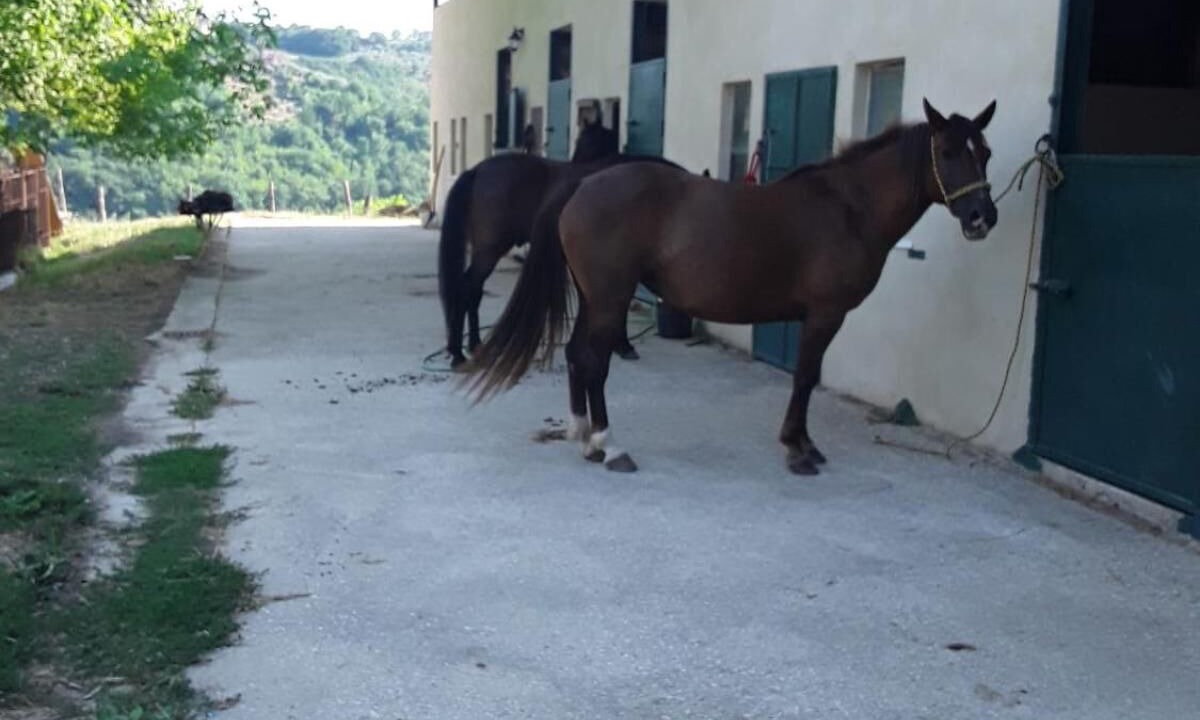 Photo of Outdoor in Monteleone Sabino