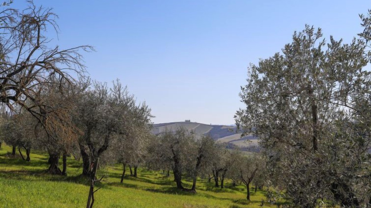 Photo of Others in Poggiarello