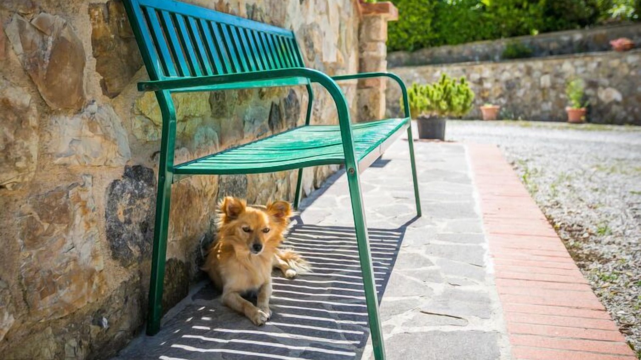 Photo of Outdoor in Volterra
