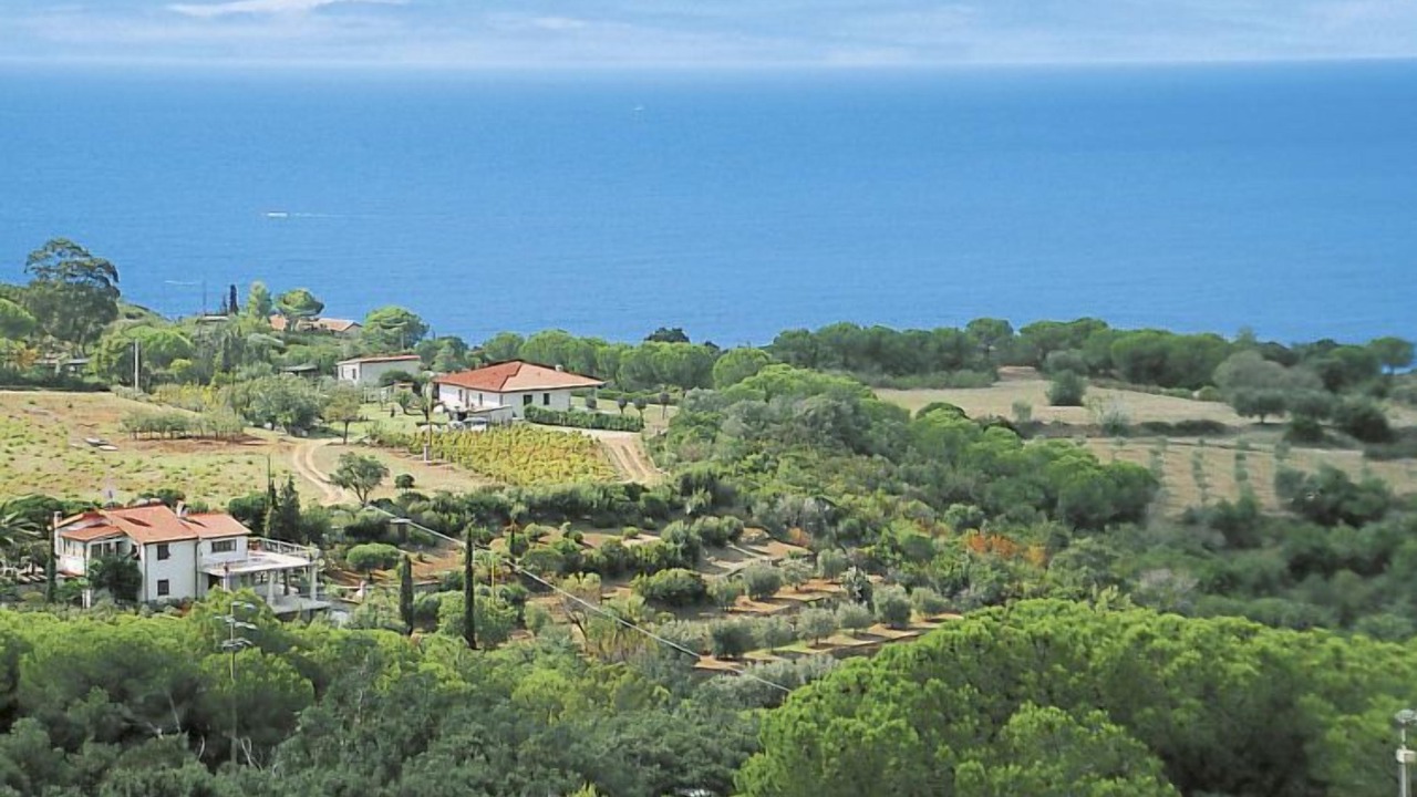 Photo of Outdoor in Capoliveri