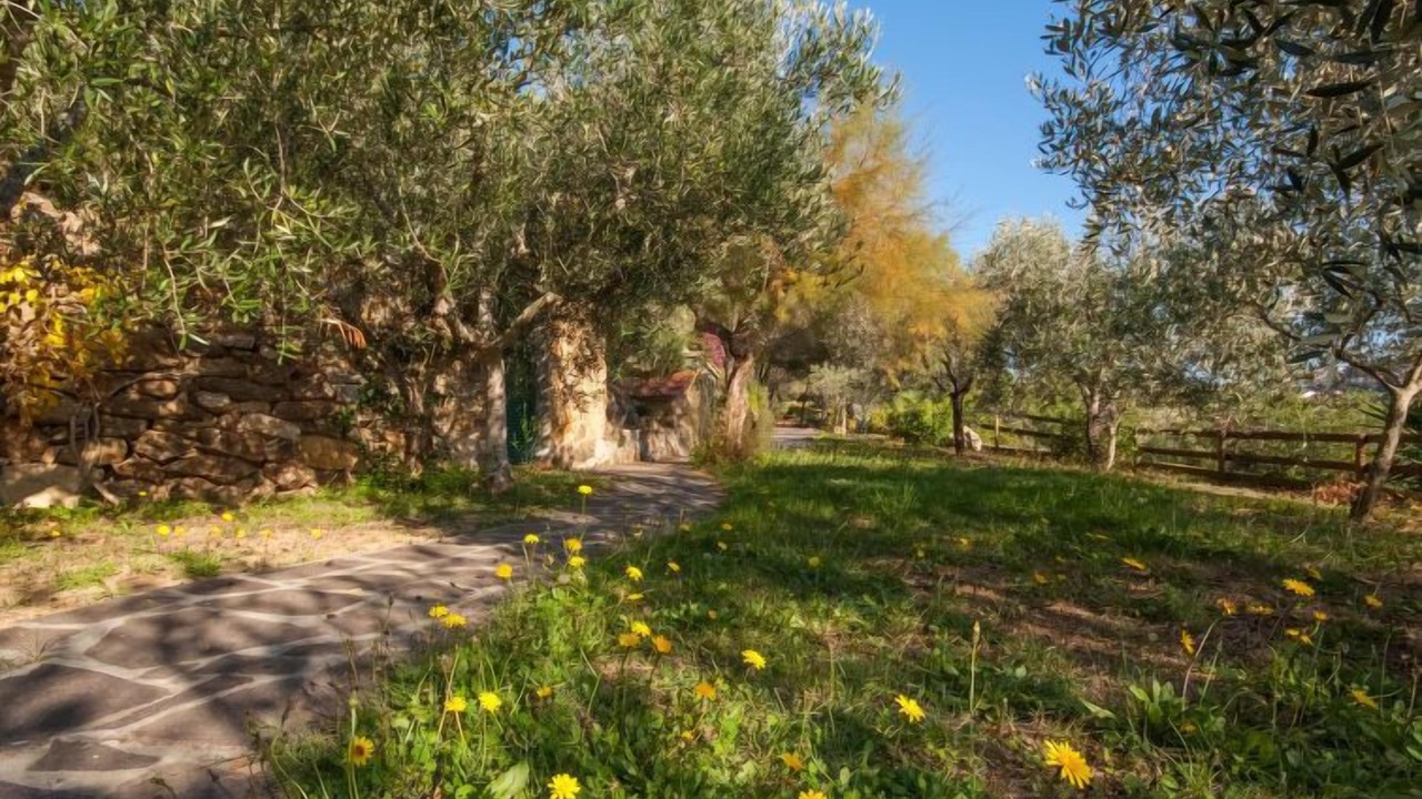 Photo of Outdoor in Capoliveri