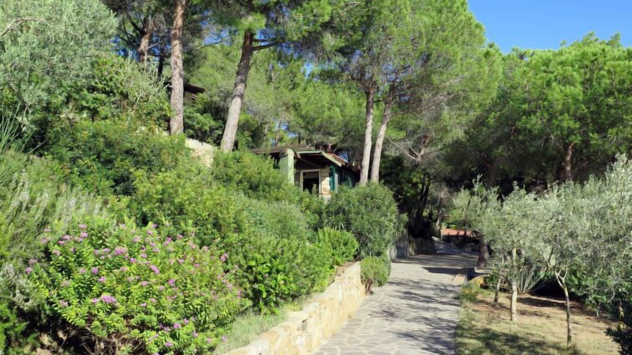 Photo of Outdoor in Capoliveri