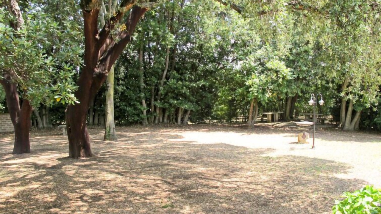 Photo of Outdoor in Caprarola