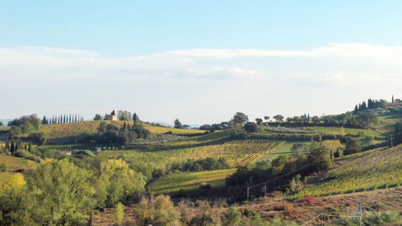 Photo of Others in Poggiarello