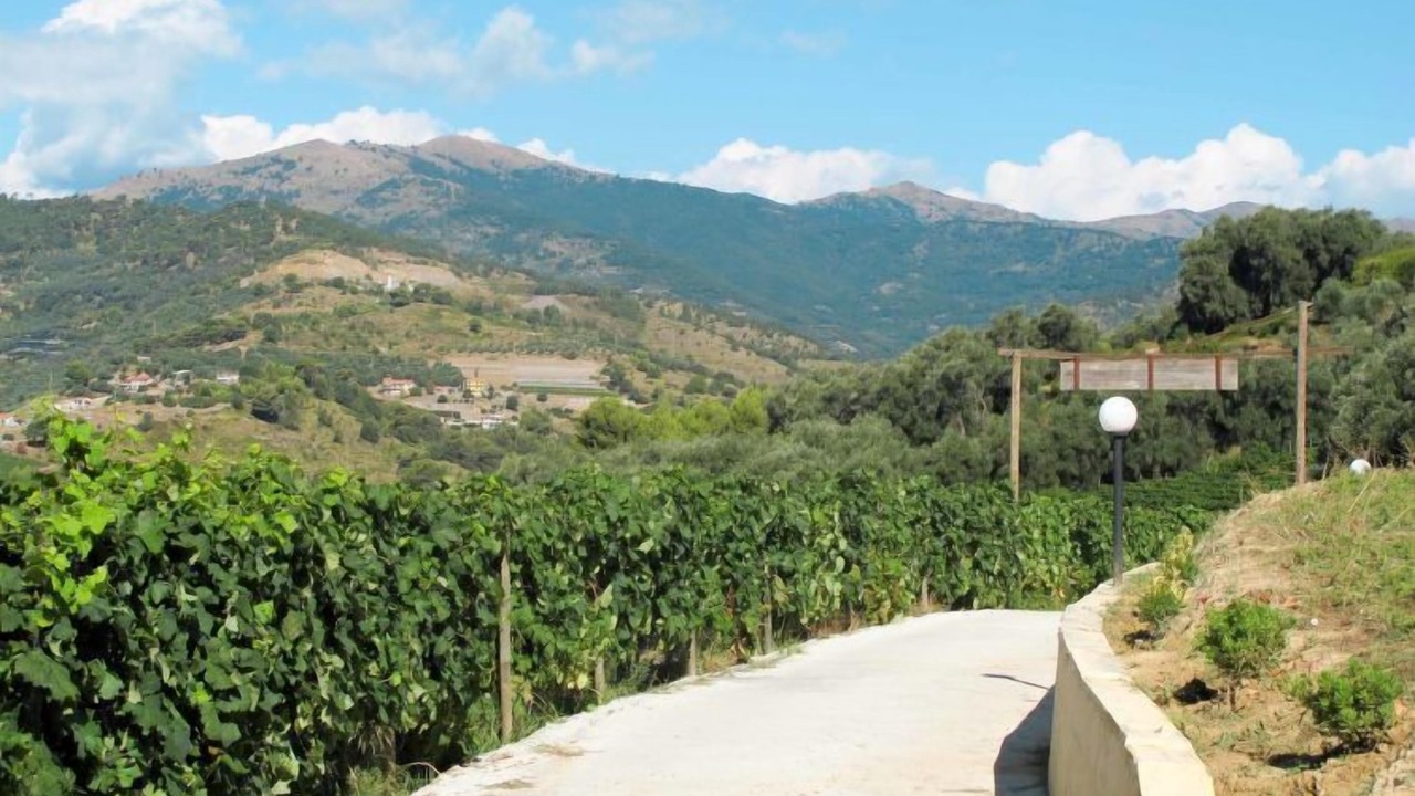 Photo of Outdoor in San Lorenzo al Mare