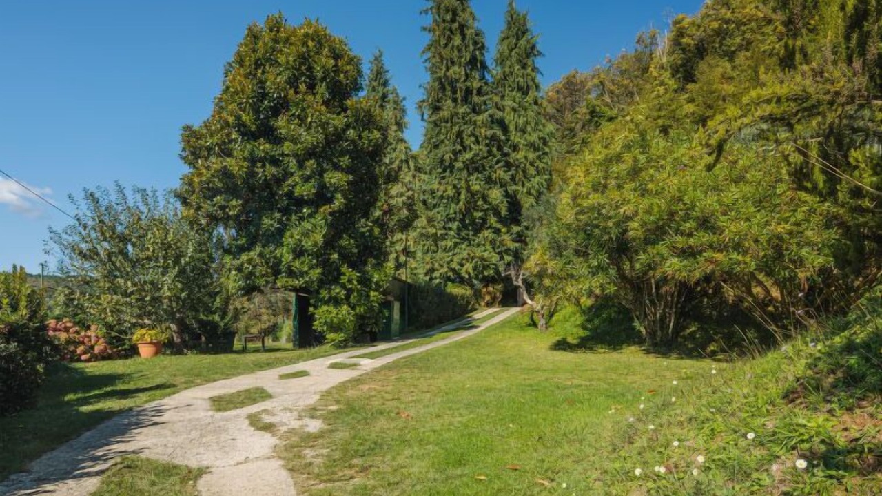 Photo of Outdoor in Massa