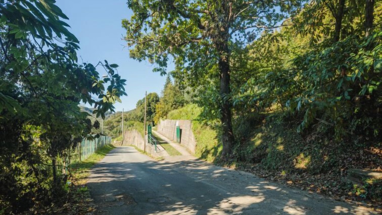 Photo of Outdoor in Massa