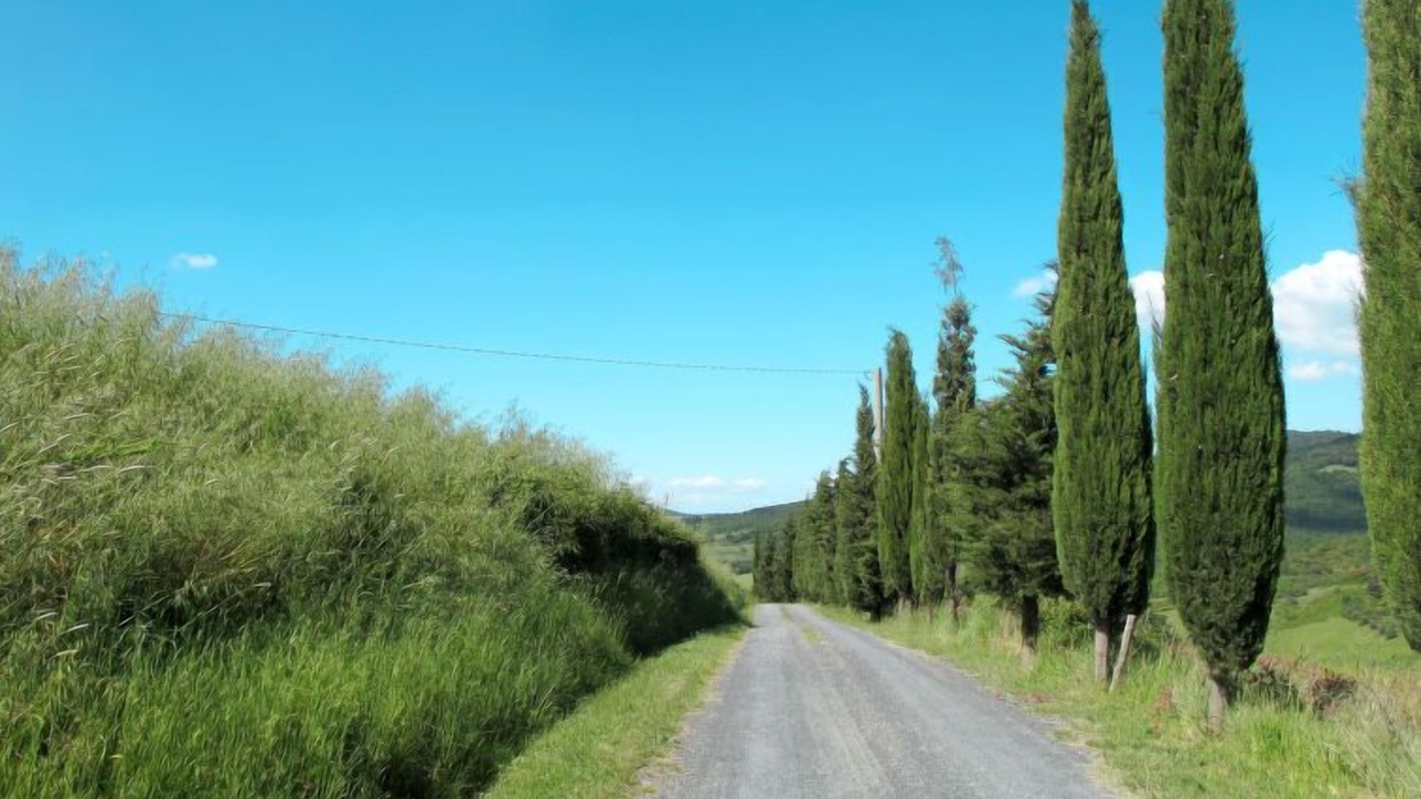 Photo of Others in Volterra