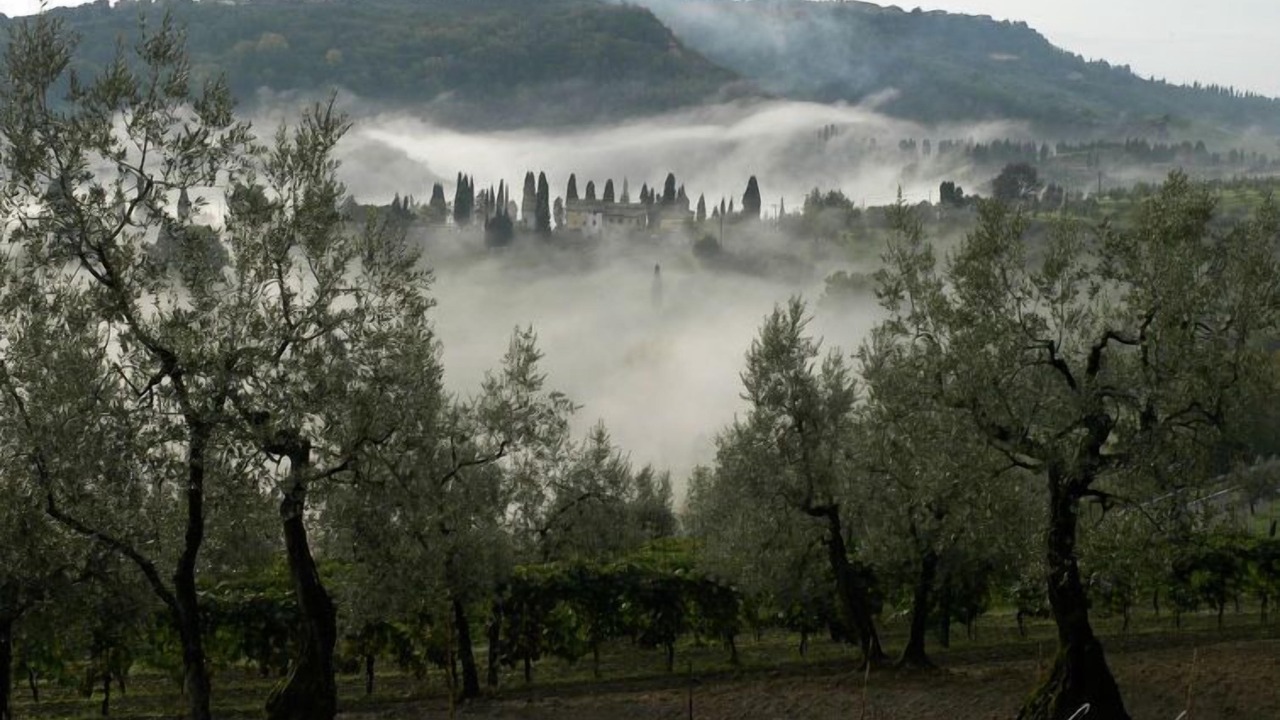 Photo of Outdoor in Volterra