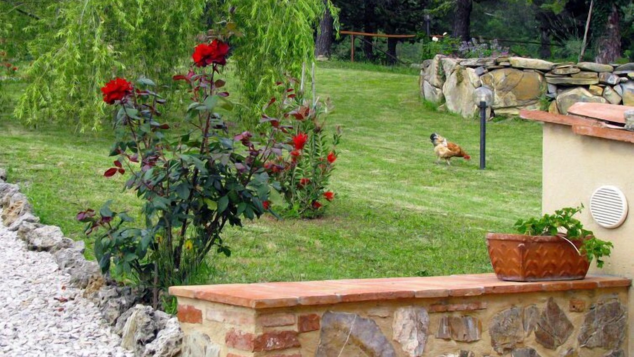 Photo of Outdoor in Castelnuovo di Val di Cecina