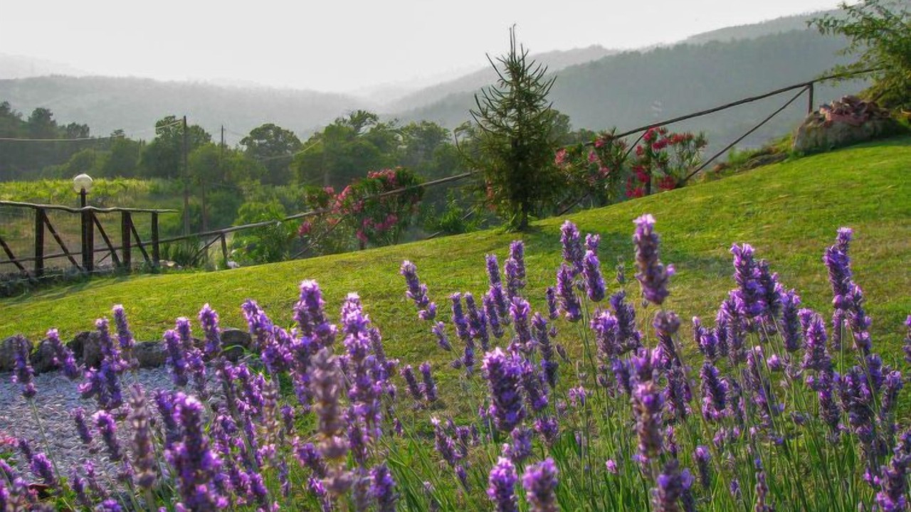 Photo of Outdoor in Castelnuovo di Val di Cecina