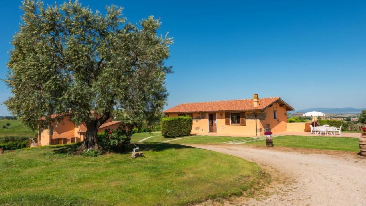 Photo of Outdoor in Scansano