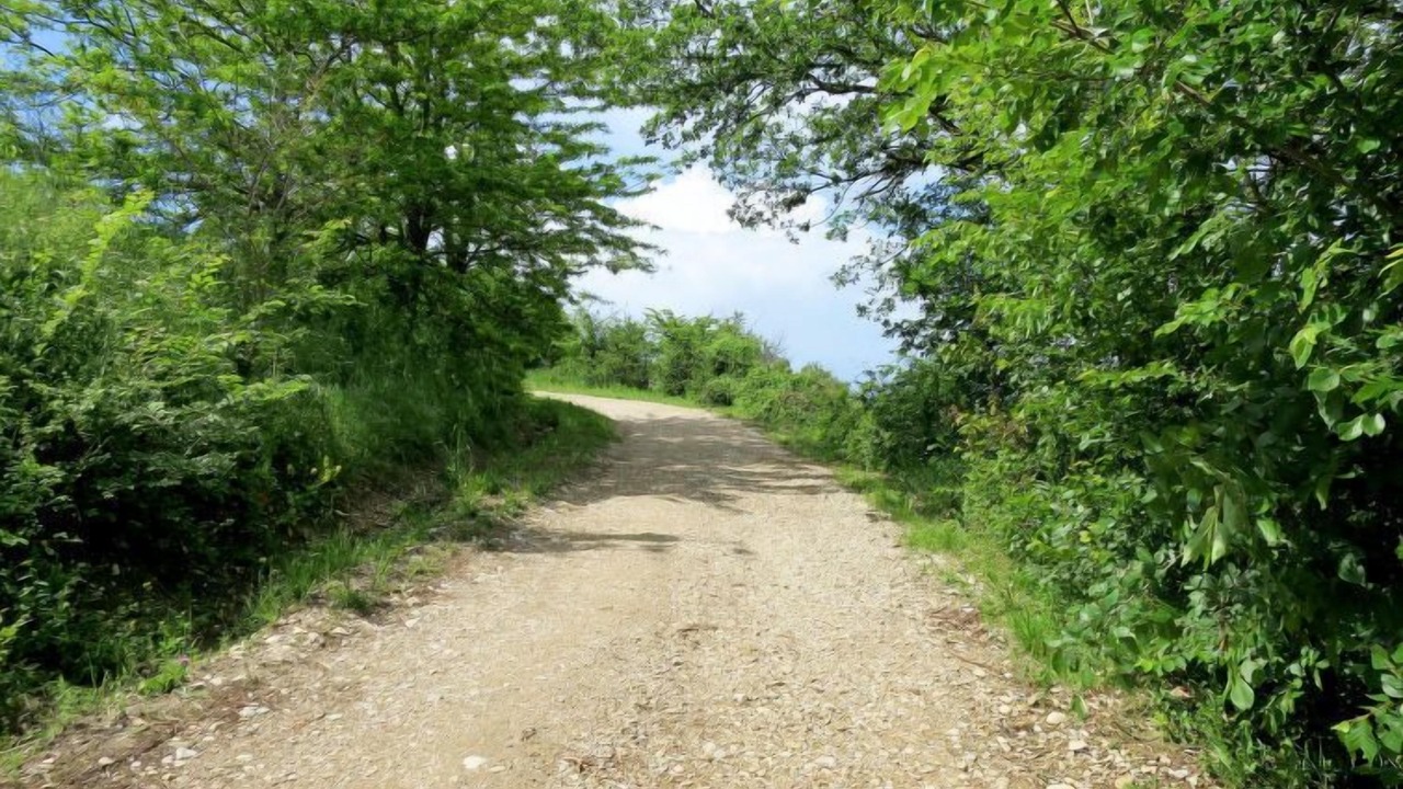 Photo of Outdoor in Bagnoregio