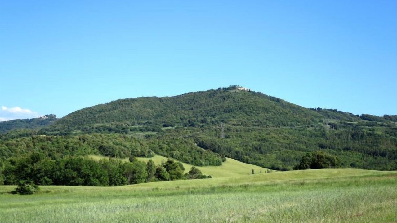 Photo of Others in Pomarance