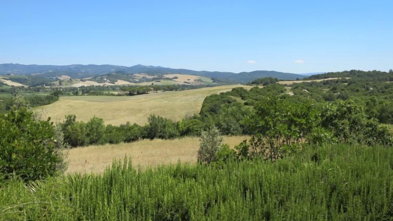 Photo of Outdoor in Montecatini Val di Cecina