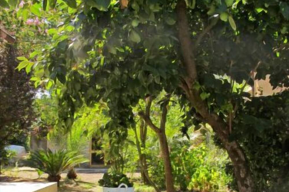 Photo of Patio Balcony in Ronchi