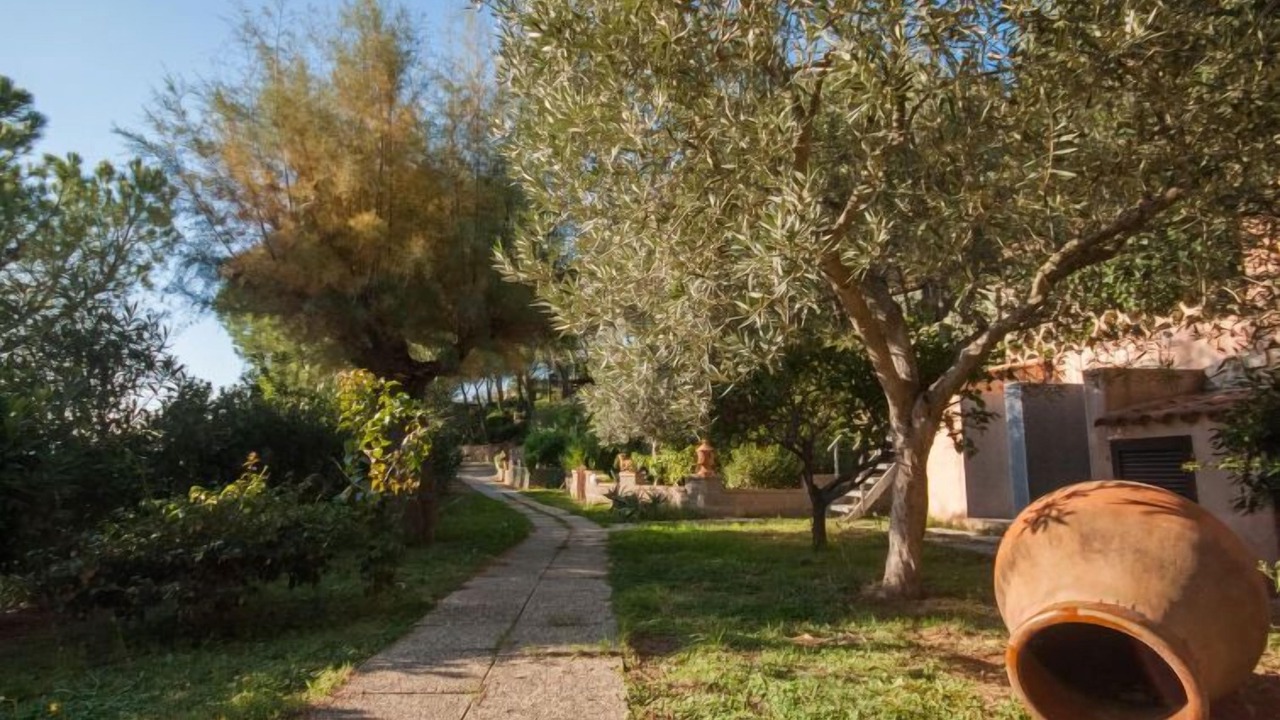 Photo of Outdoor in Capoliveri