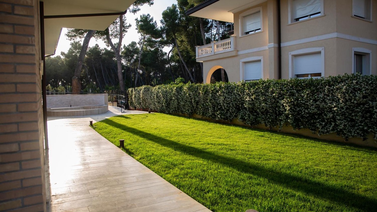 Photo of Outdoor in Pineta