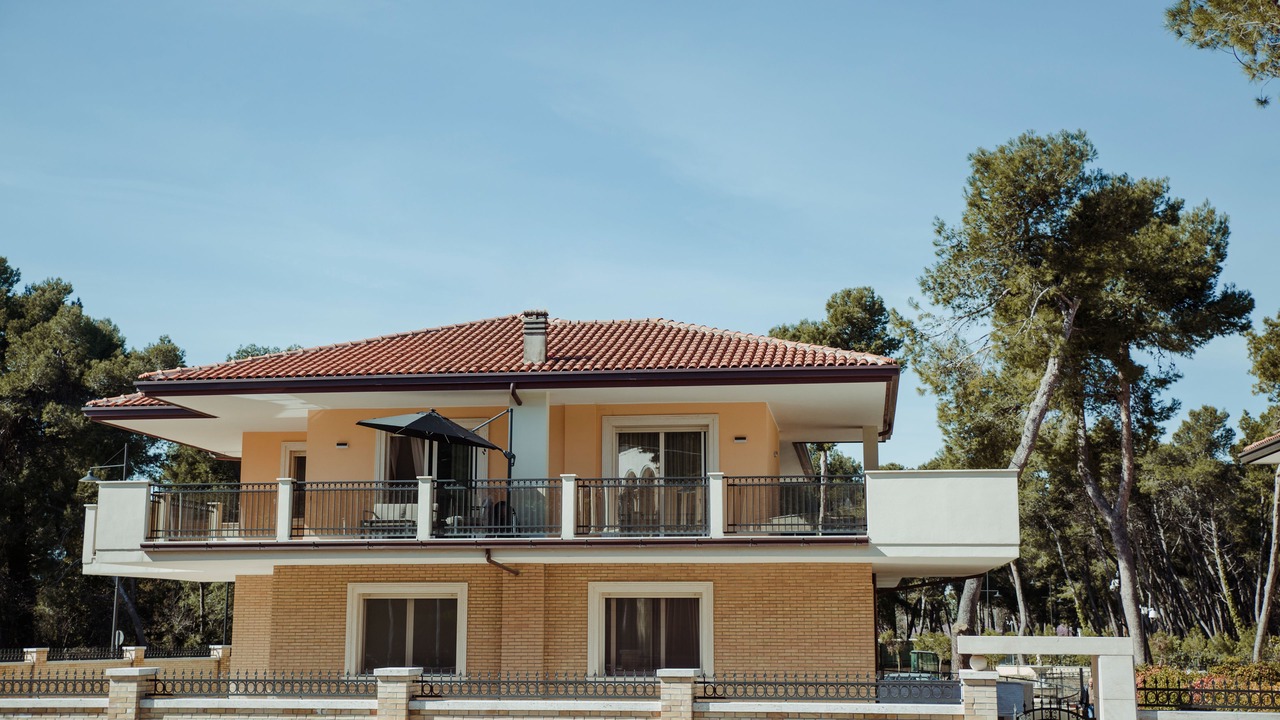 Photo of Outdoor in Pineta