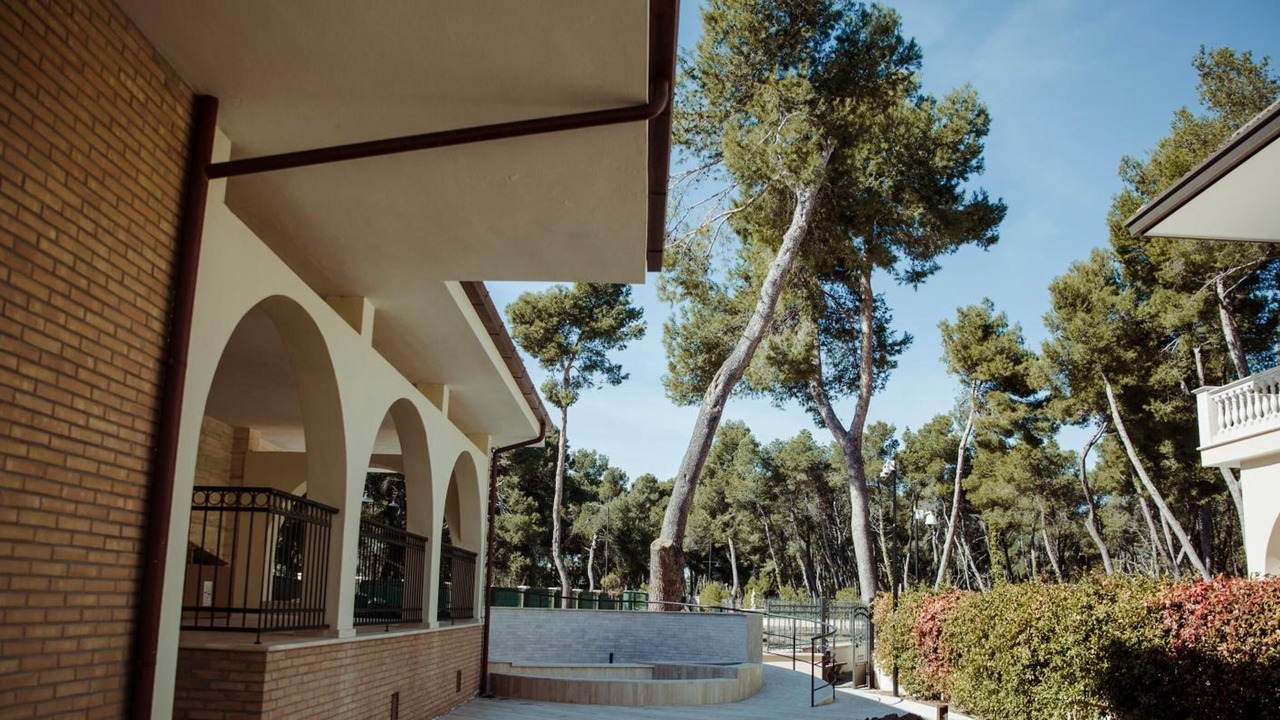 Photo of Outdoor in Pineta