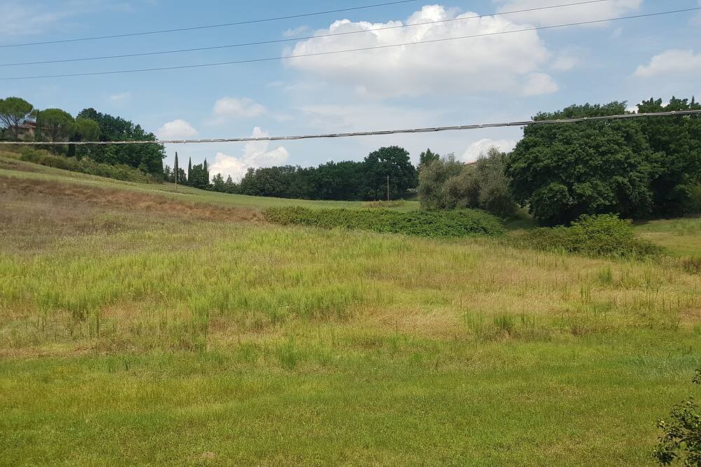 Photo of Outdoor in Torrenieri