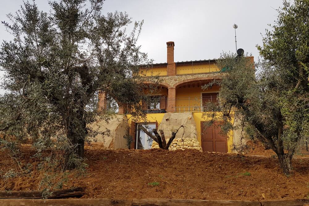 Photo of Outdoor in Guardistallo