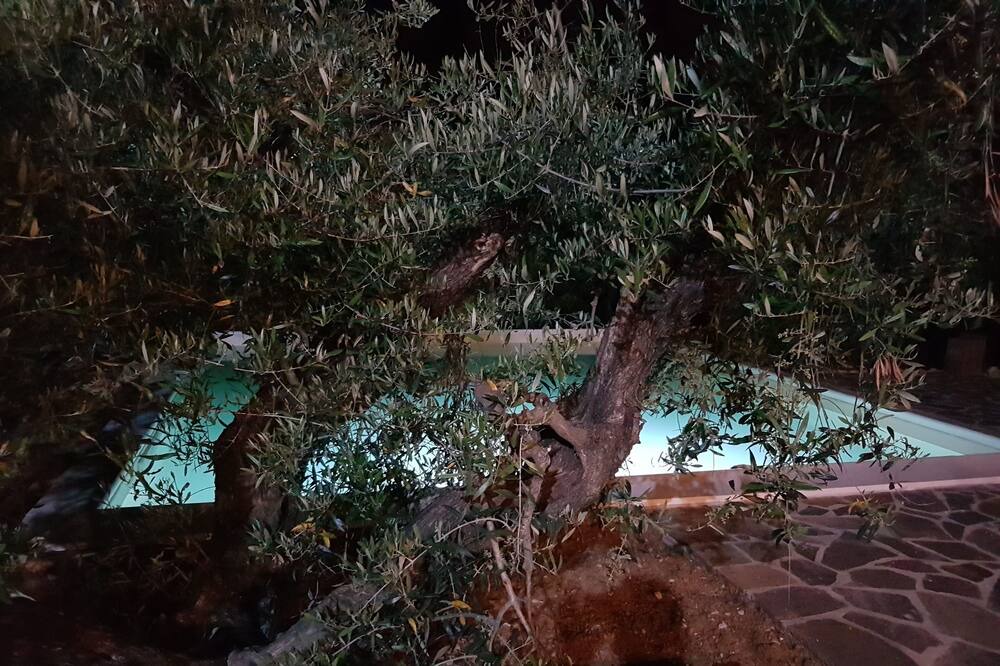 Photo of Outdoor in Guardistallo