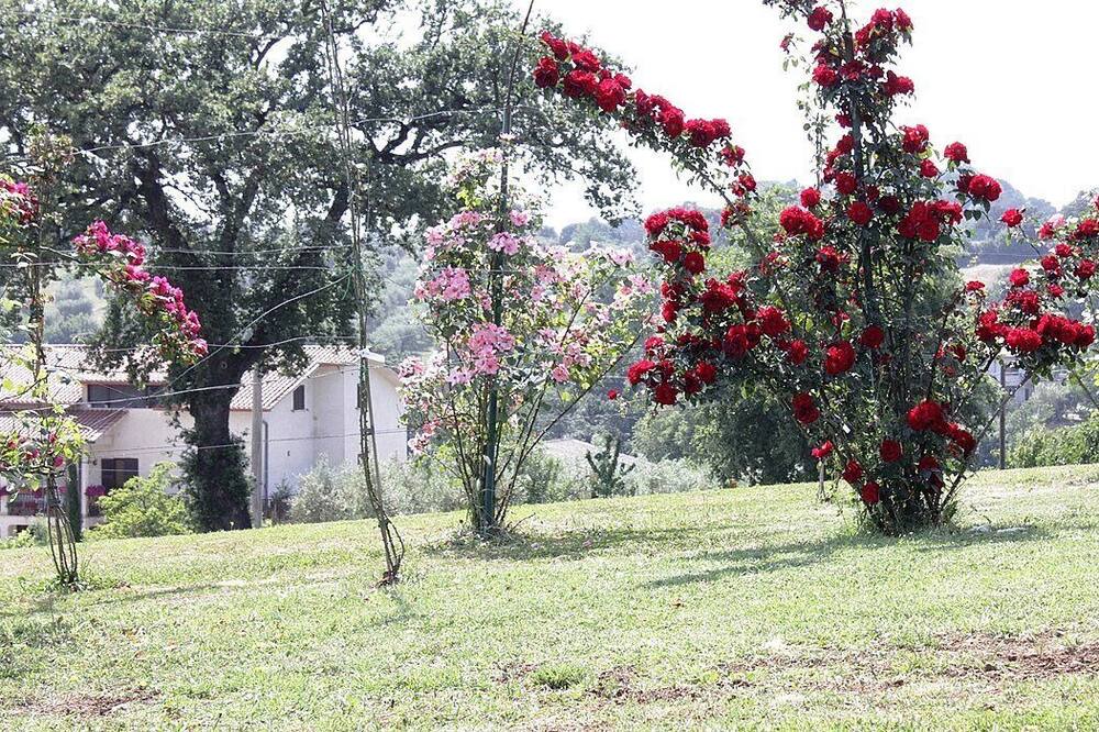 Photo of Outdoor in Tarano