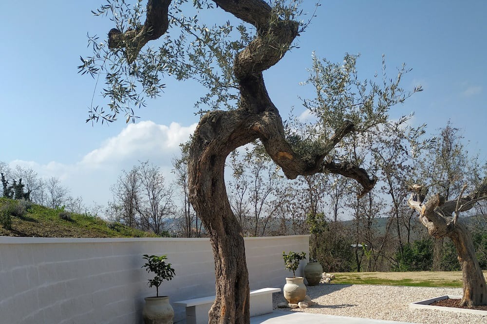 Photo of Outdoor in Penne
