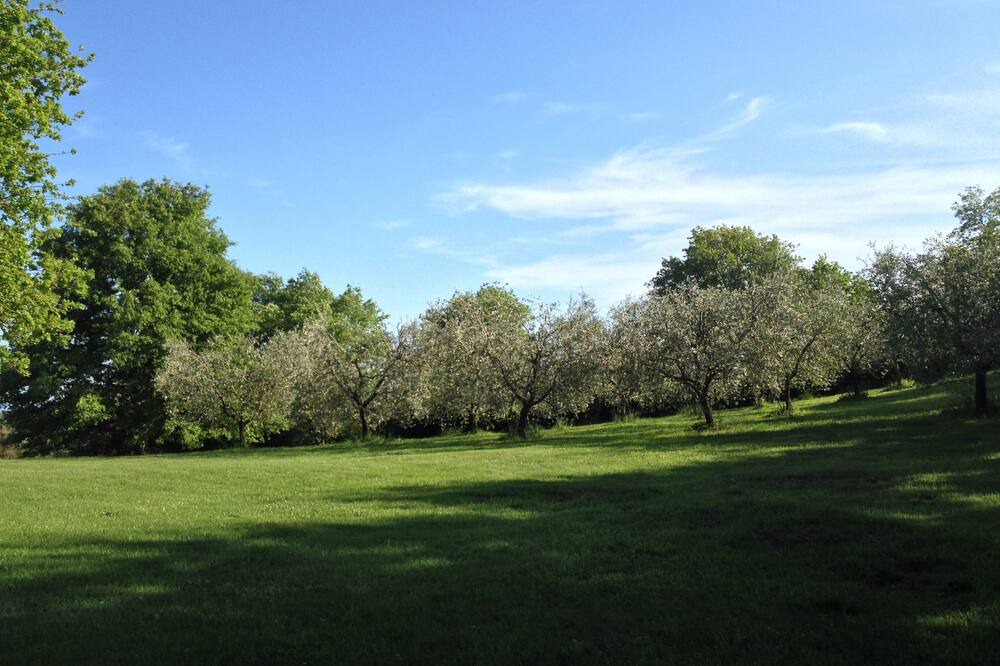 Photo of Outdoor in Sutri
