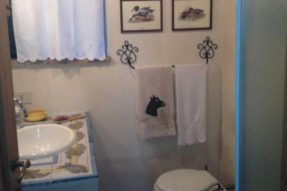 Photo of Bathroom in Sutri