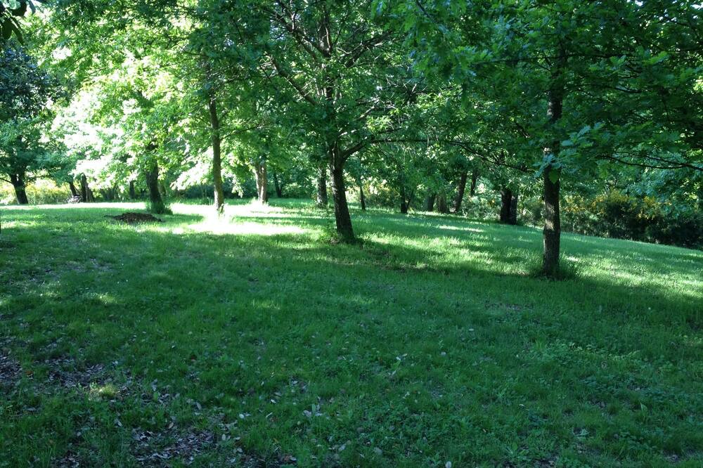 Photo of Outdoor in Sutri