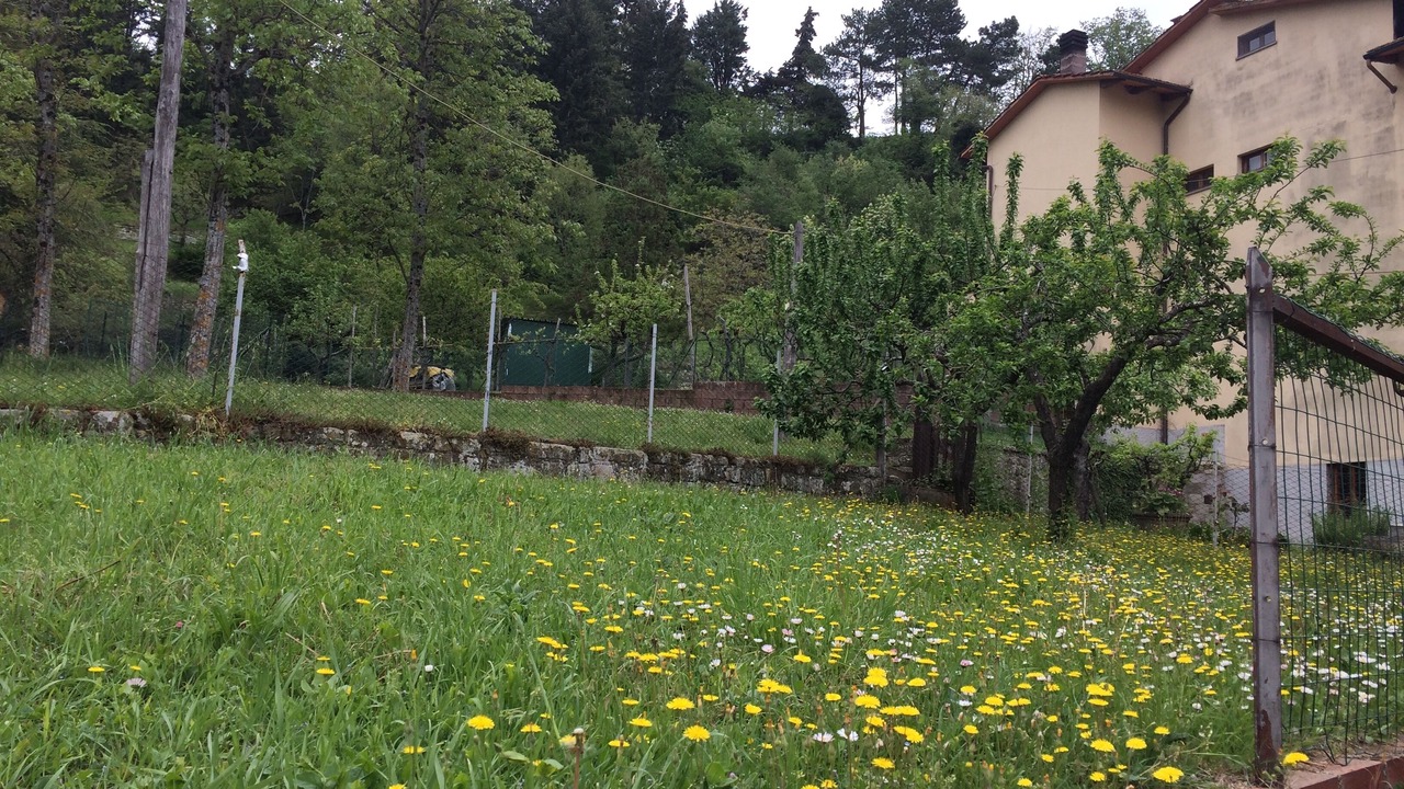 Photo of Outdoor in Stia