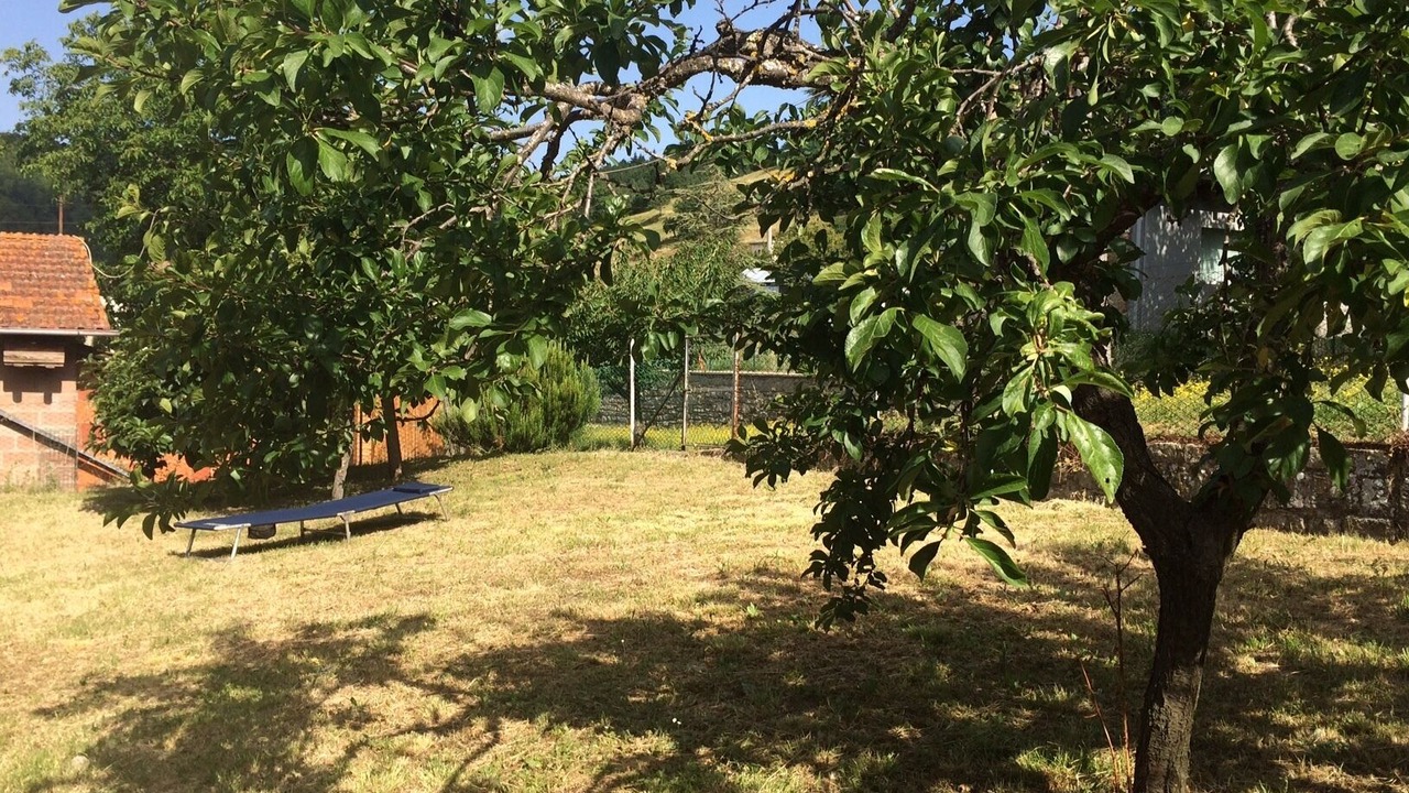 Photo of Outdoor in Stia