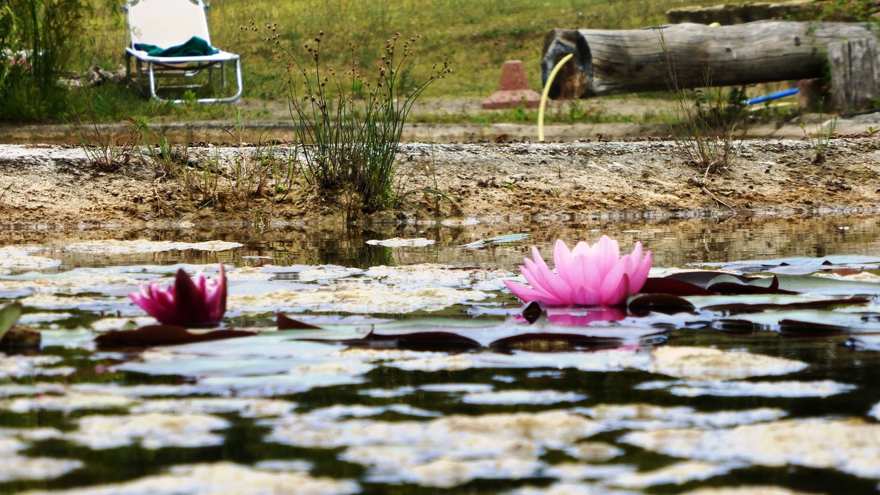 Photo of Outdoor in Sassetta