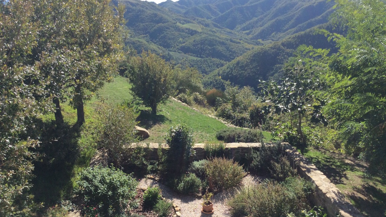 Photo of Outdoor in Sarsina