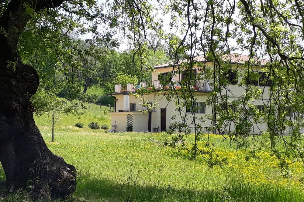 Photo of Outdoor in Torri in Sabina