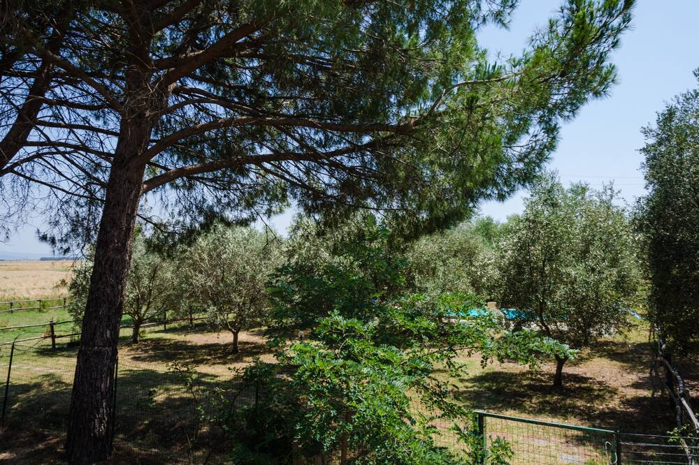 Photo of Outdoor in Grosseto