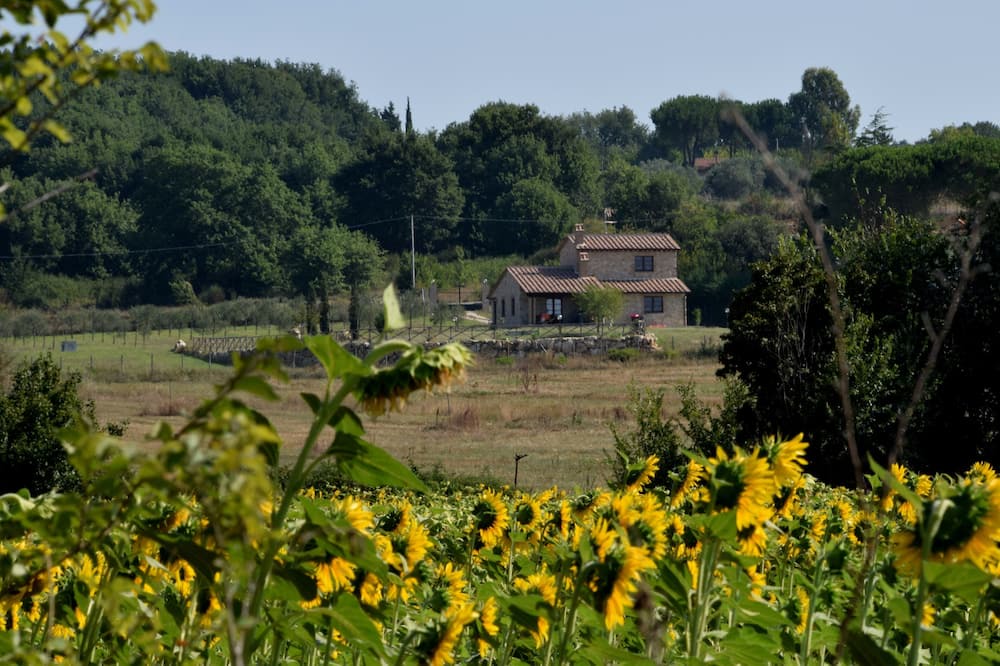 Photo of Outdoor in Amelia