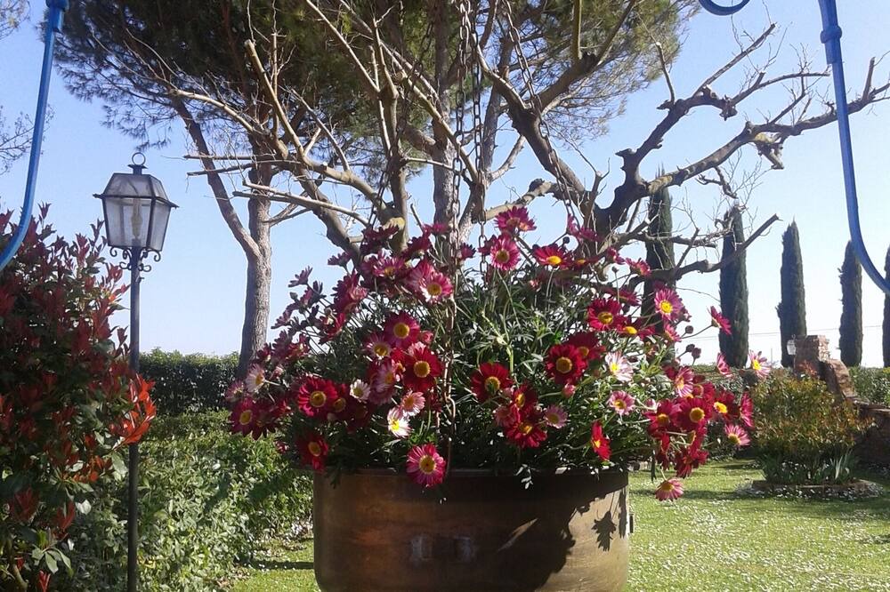 Photo of Outdoor in Valiano