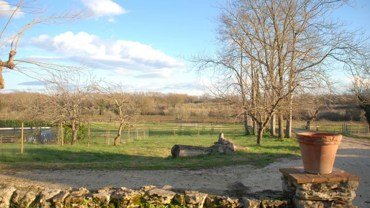 Photo of Outdoor in Amelia