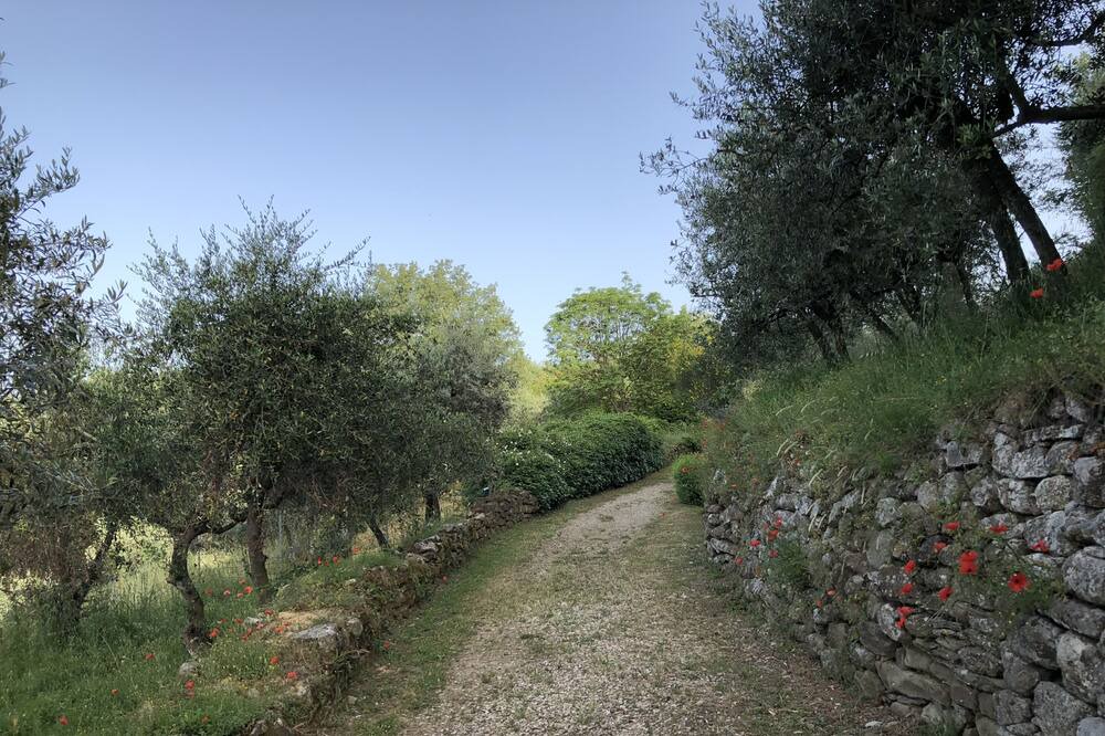 Photo of Outdoor in Sogna