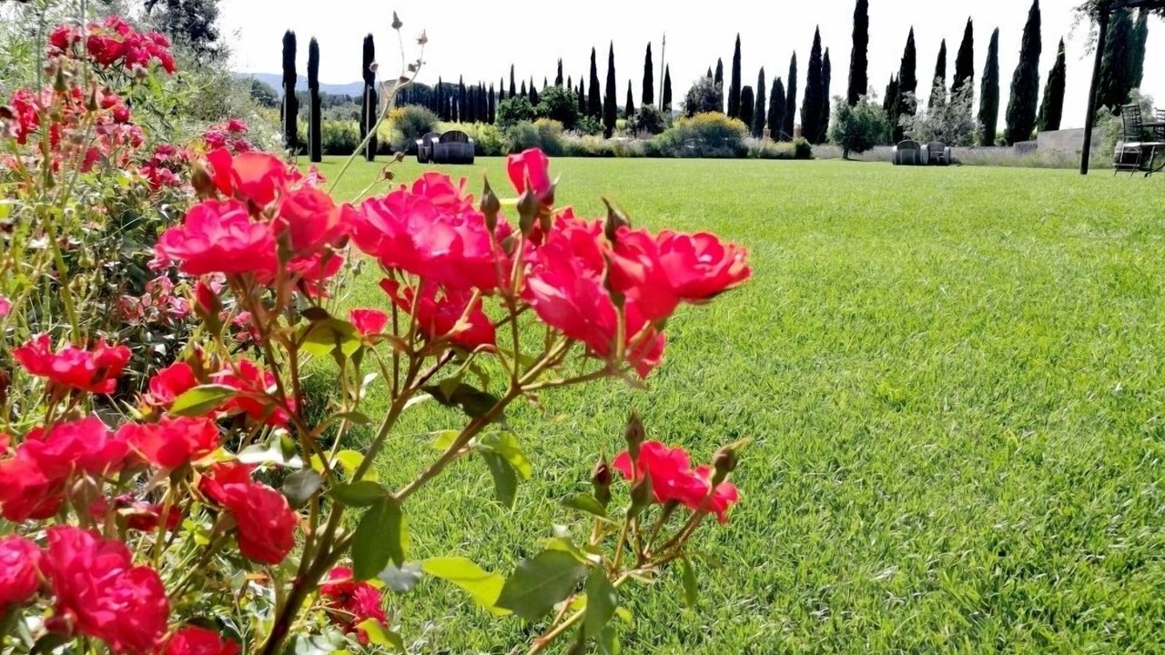 Photo of Outdoor in Bibbona