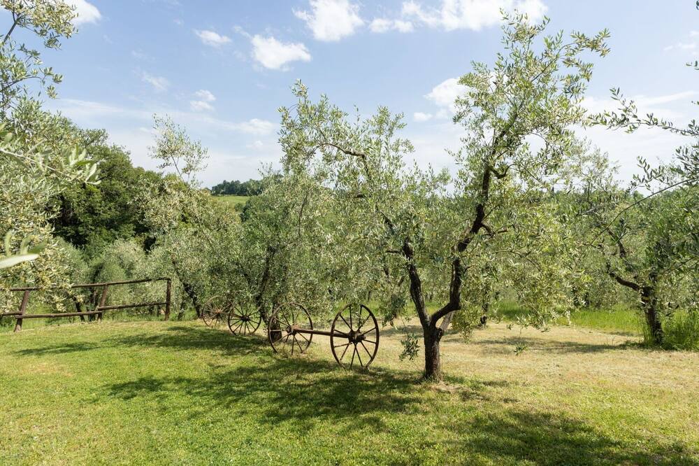 Photo of Others in Poggiarello
