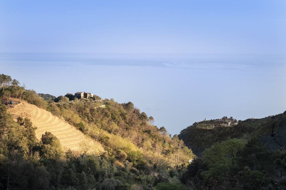 Photo of Others in Monterosso al Mare